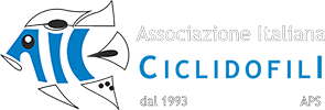 Ciclidi - Il Forum dell'Associazione Italiana Ciclidofili