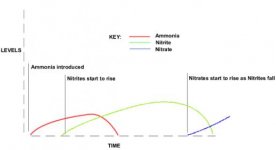 ammonia_cycle_diagram.jpg